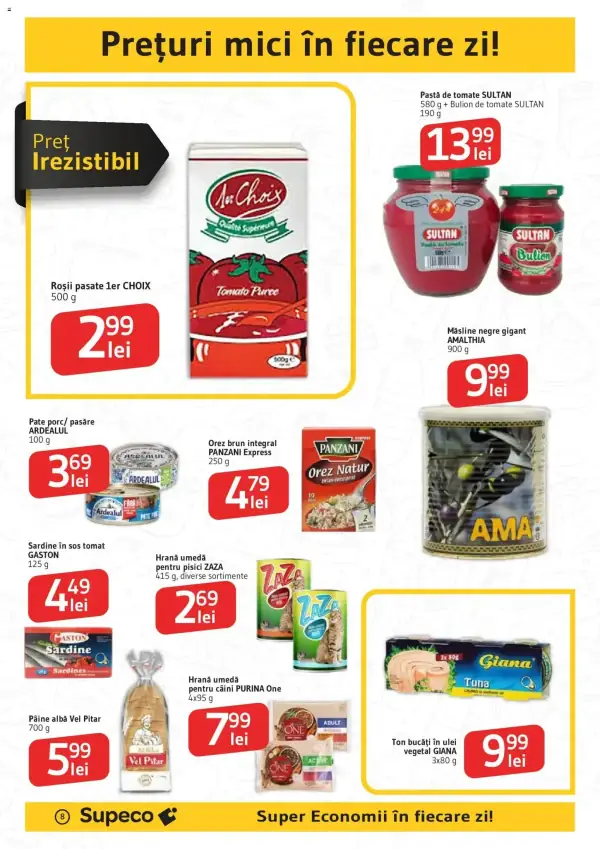 Pagina 8