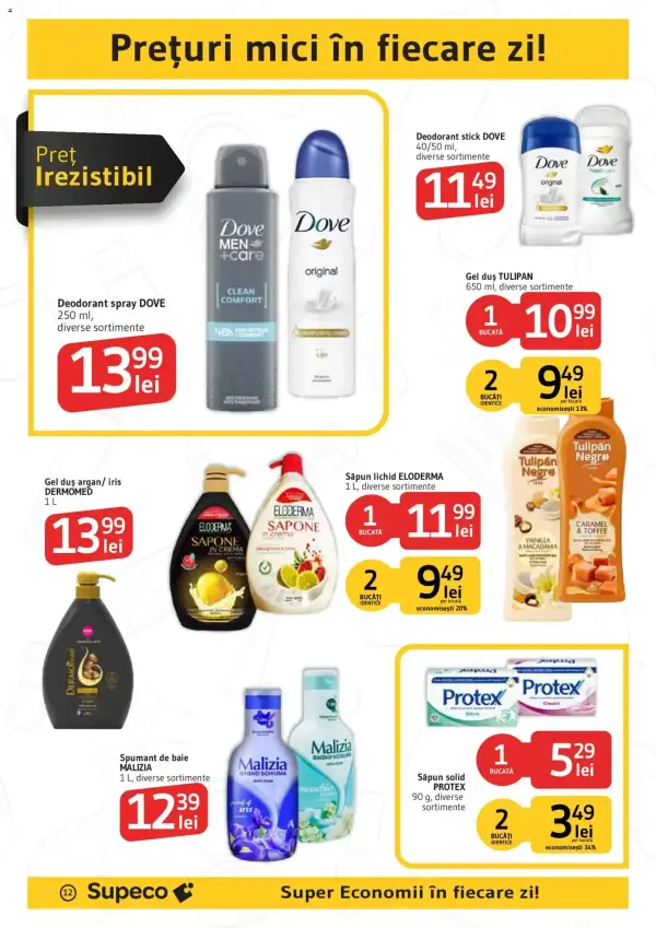Pagina 12