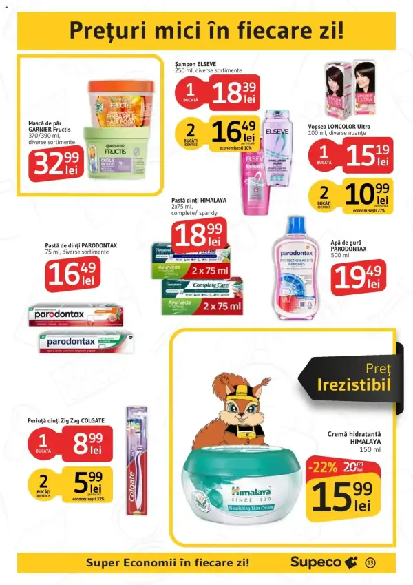 Pagina 13