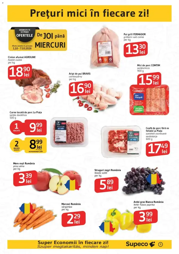 Pagina 5