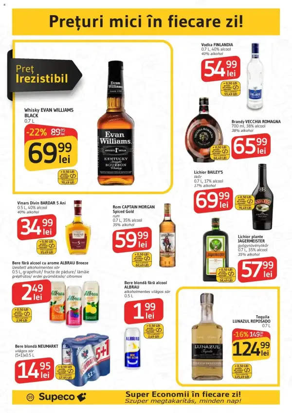 Pagina 10