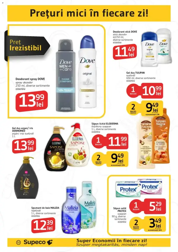 Pagina 12