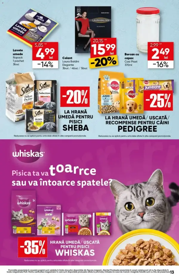 Pagina 13
