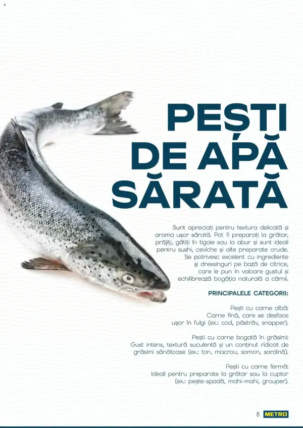 Pagina 8