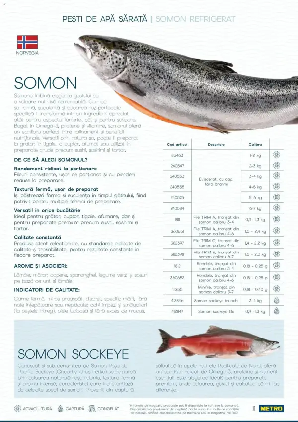 Pagina 11