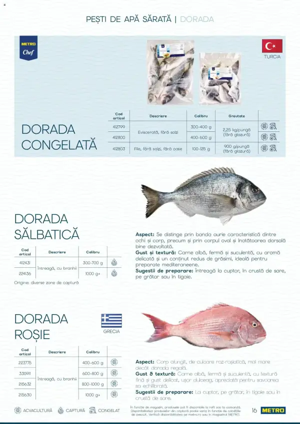 Pagina 16