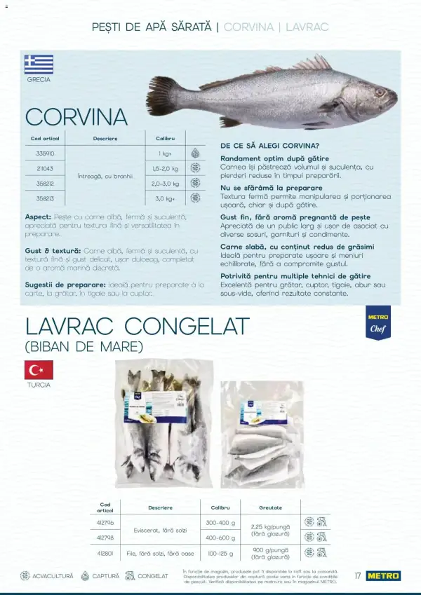 Pagina 17