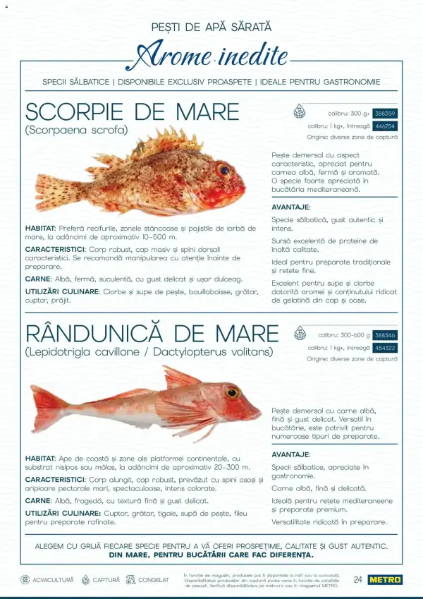 Pagina 24