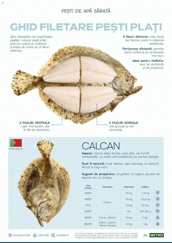 Pagina 26