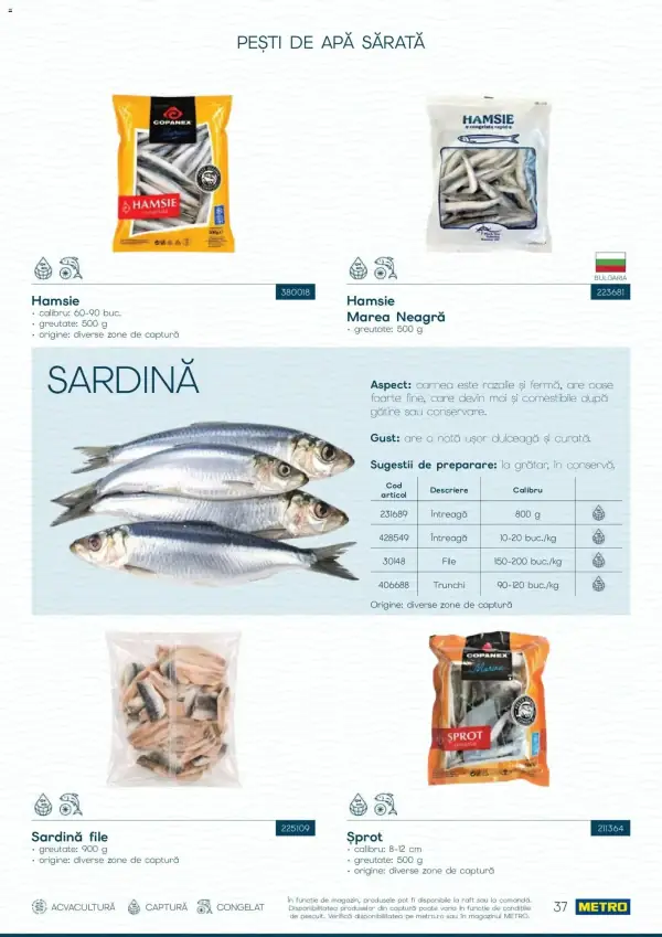 Pagina 37