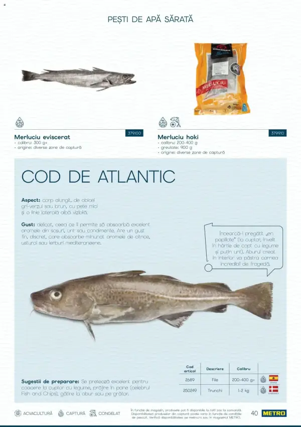 Pagina 40