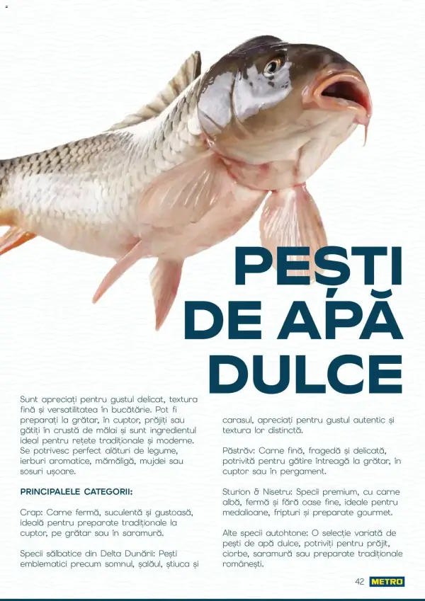 Pagina 42