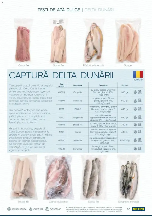 Pagina 43