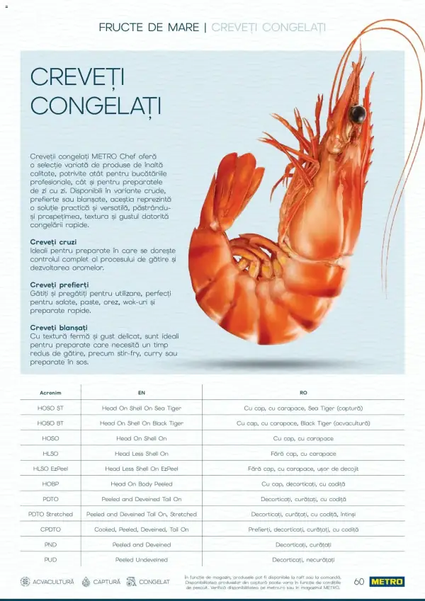 Pagina 60