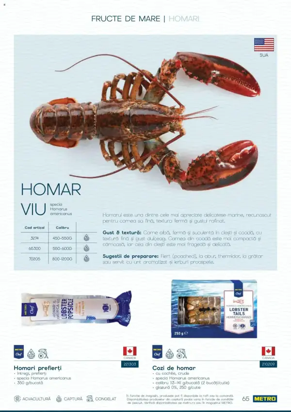 Pagina 65
