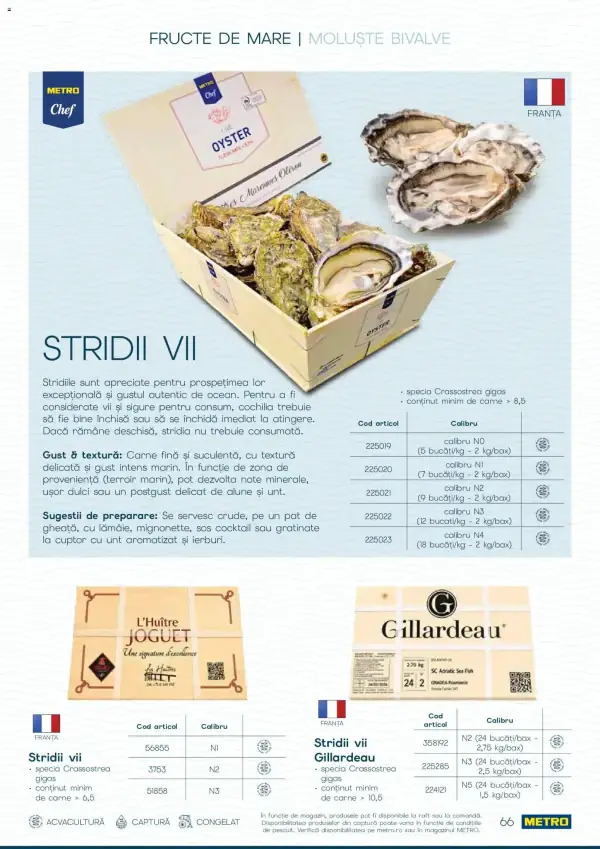 Pagina 66