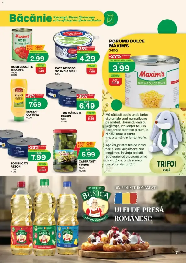 Pagina 7