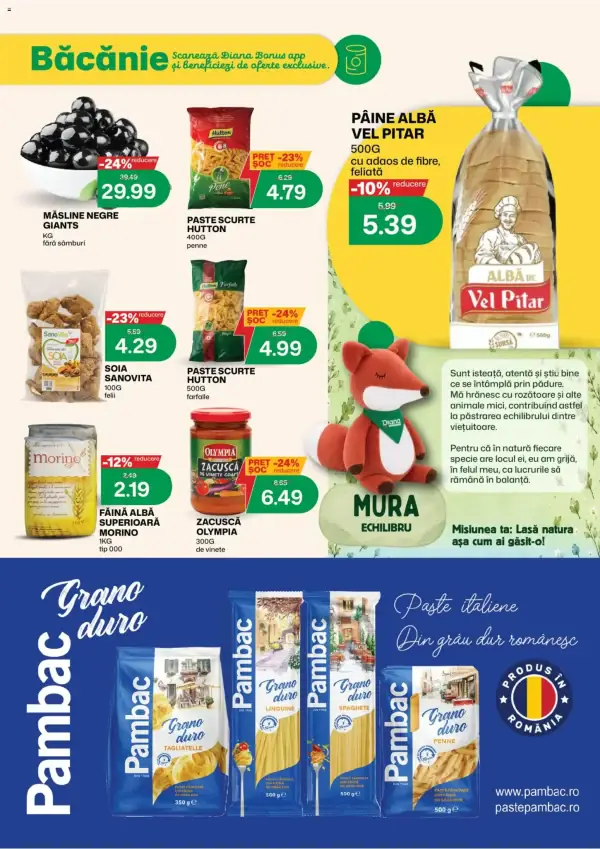 Pagina 8
