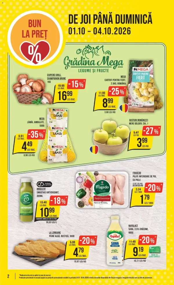 Pagina 2