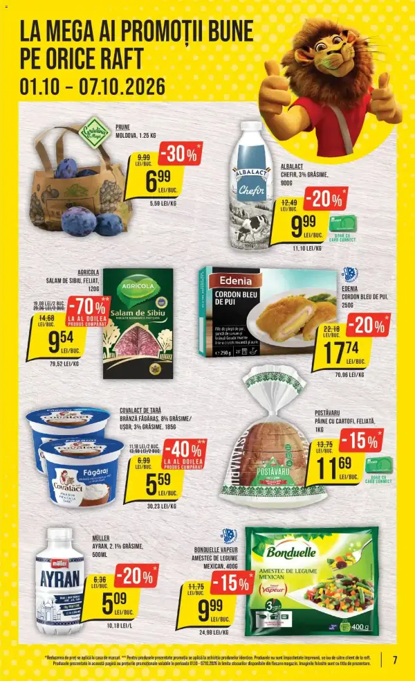 Pagina 7