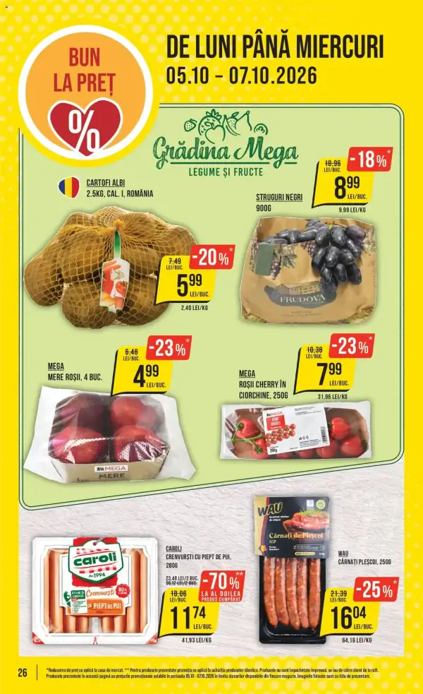 Pagina 26