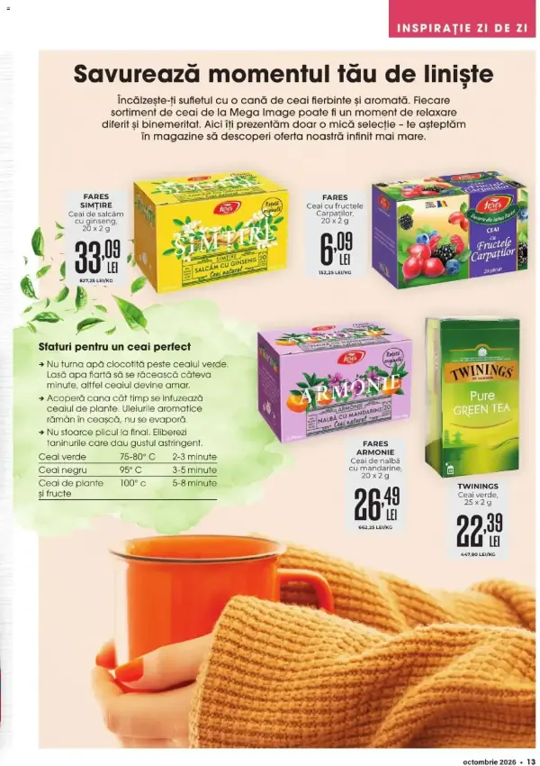 Pagina 13