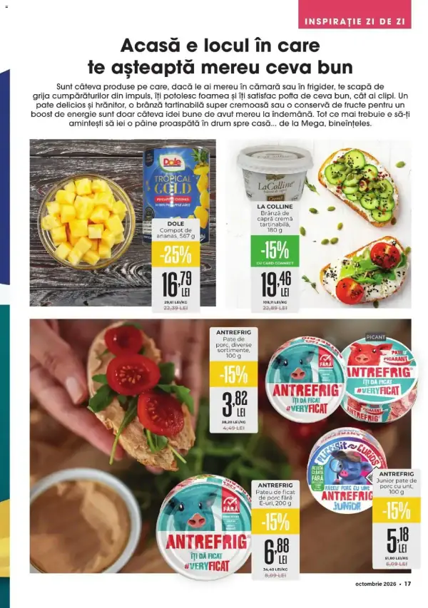 Pagina 17