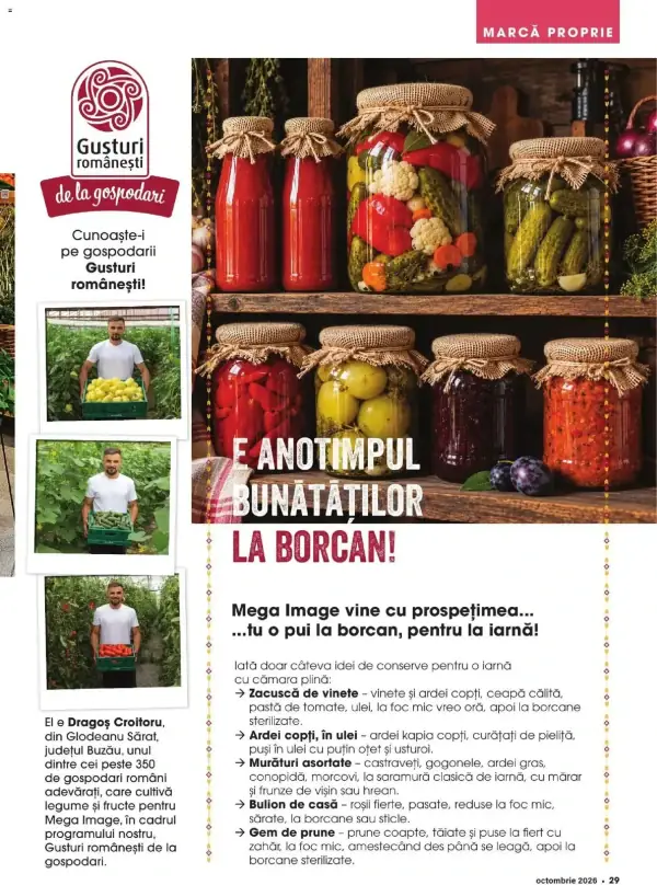 Pagina 29