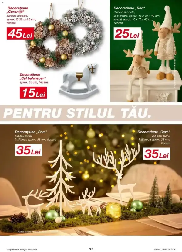 Pagina 7