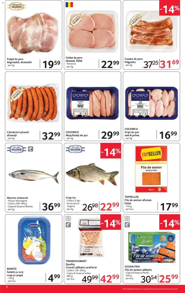 Pagina 2