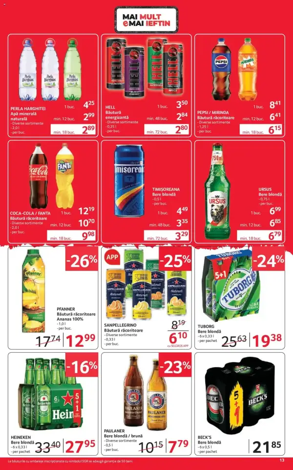 Pagina 13