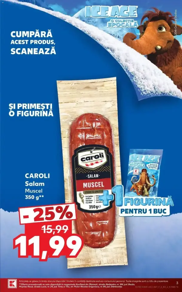 Pagina 3