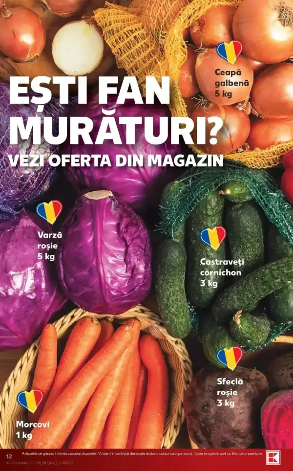 Pagina 12