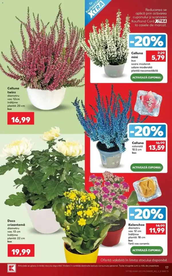 Pagina 17