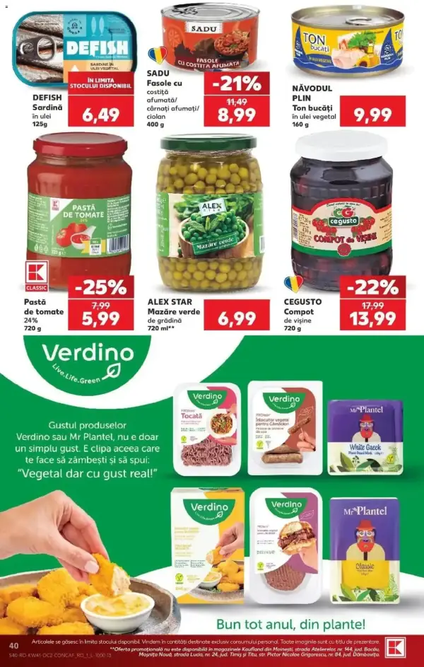 Pagina 40
