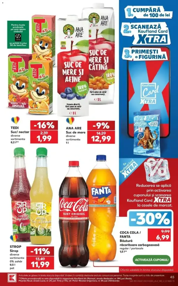 Pagina 45