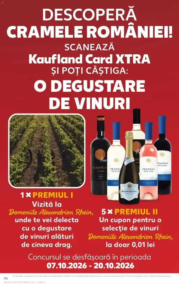 Pagina 46