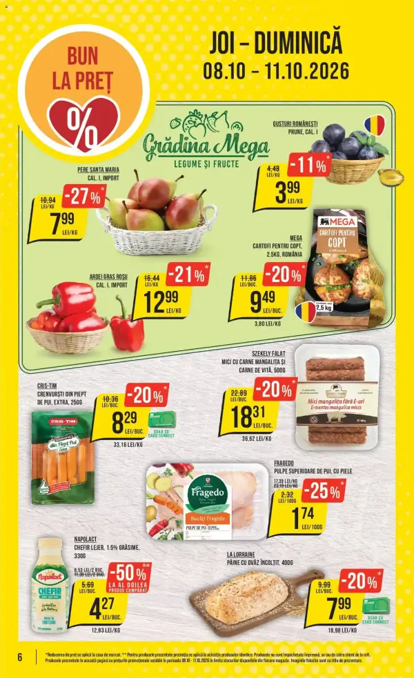 Pagina 6