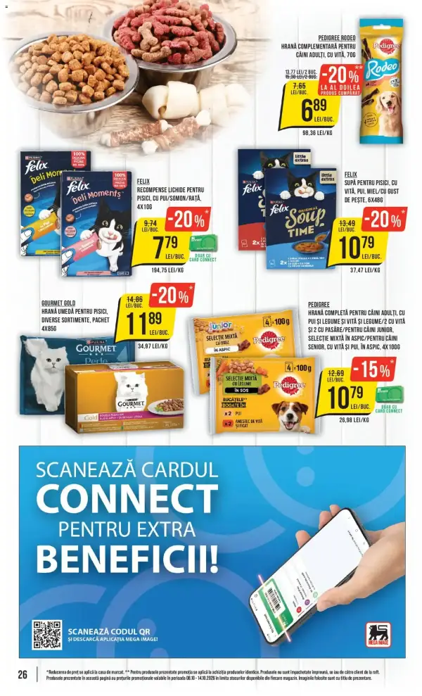 Pagina 26