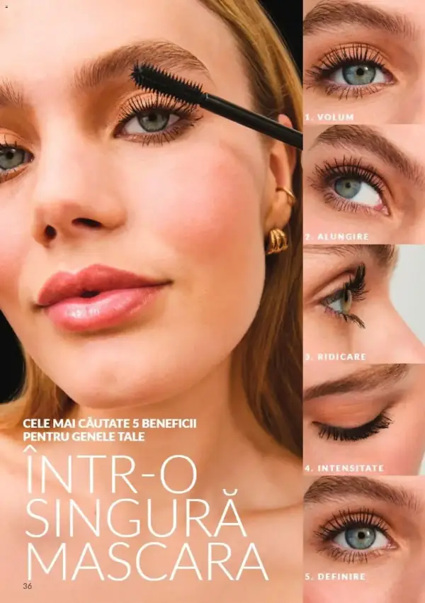 Pagina 36