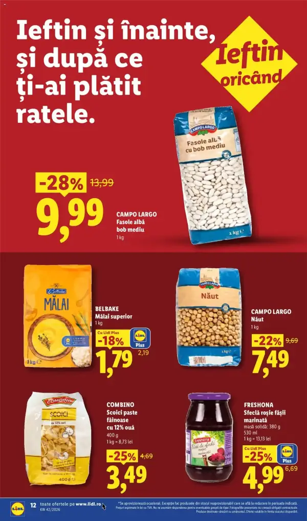 Pagina 12