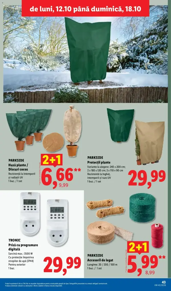 Pagina 43
