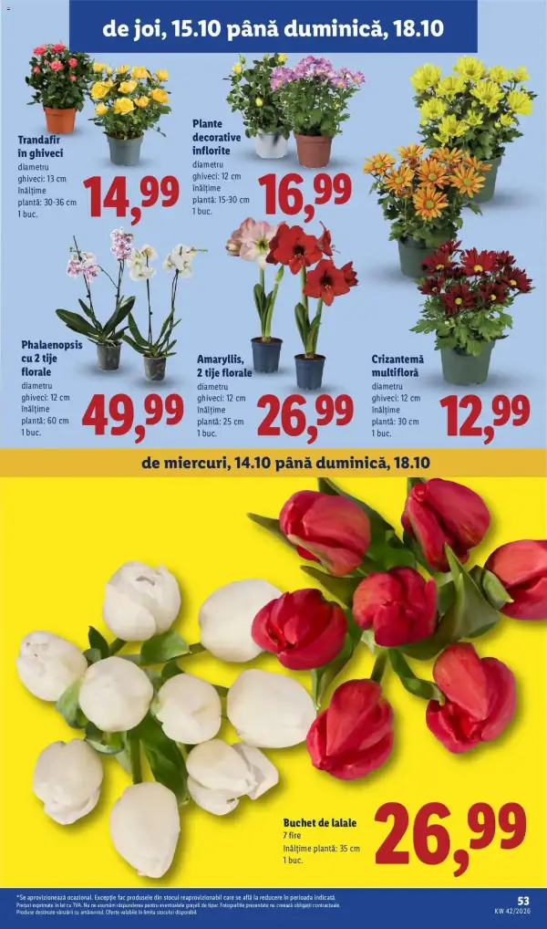 Pagina 53