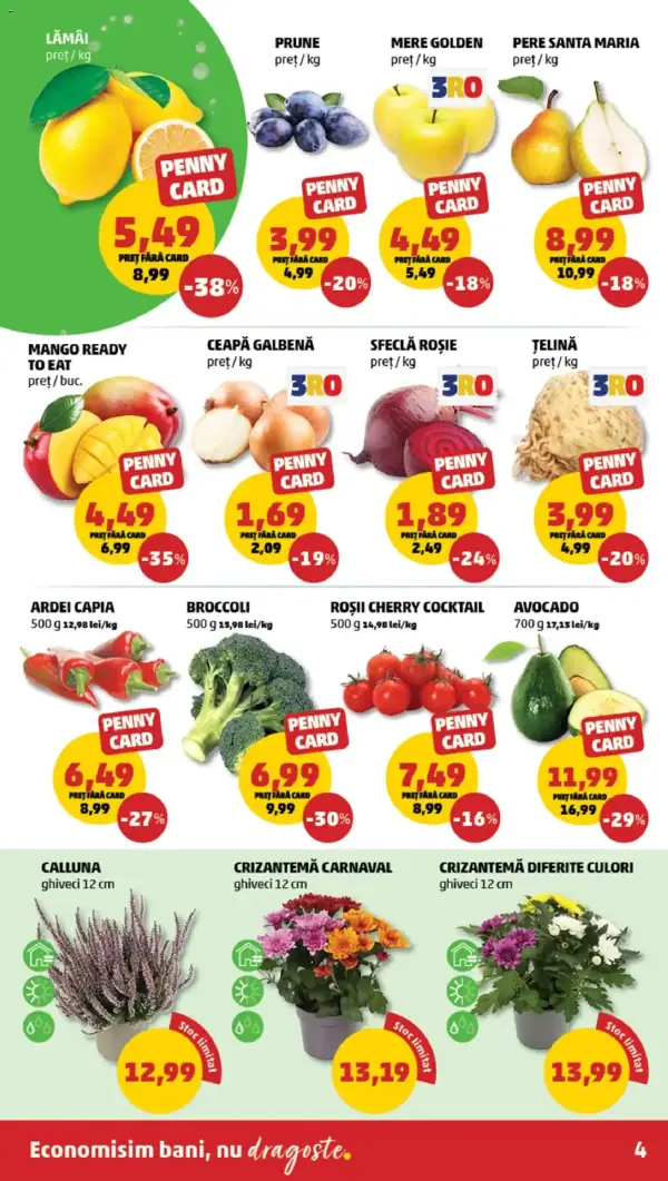 Pagina 4