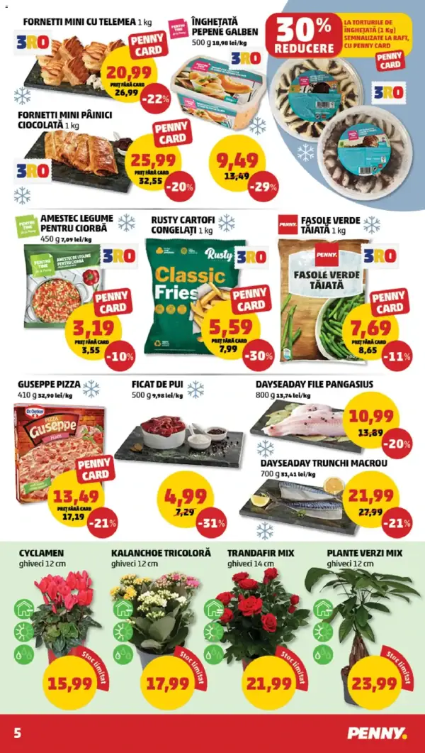 Pagina 5