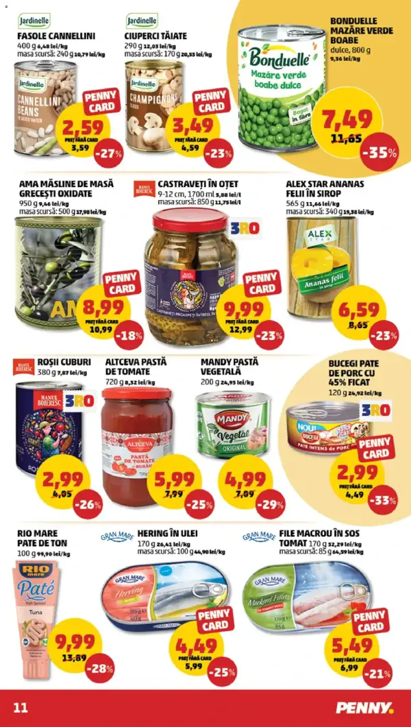 Pagina 11