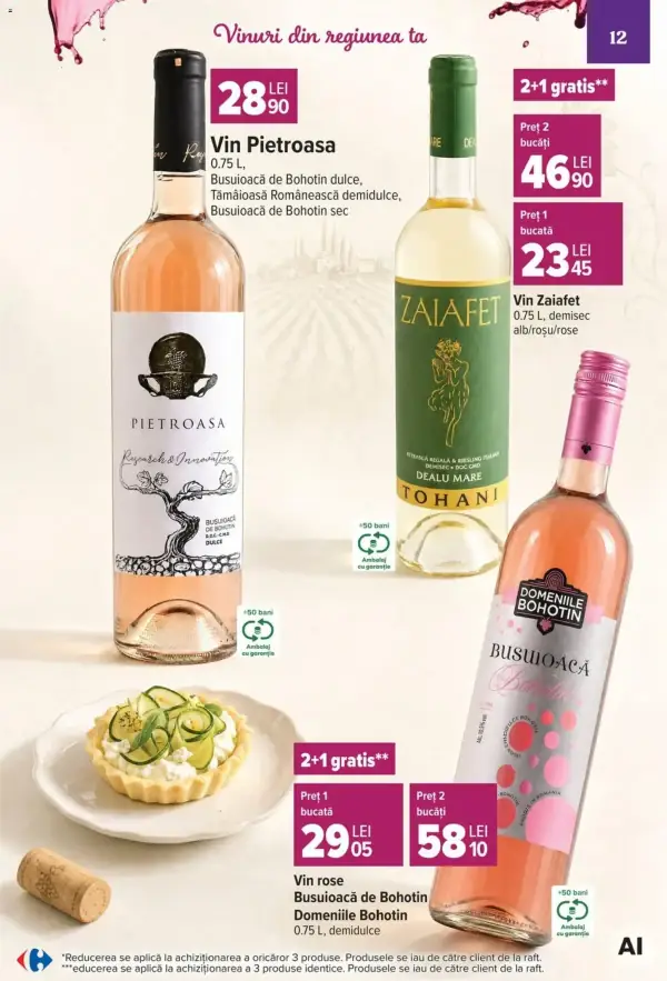 Pagina 12