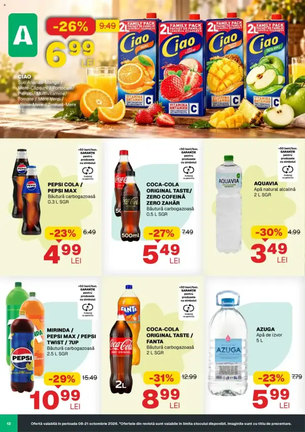 Pagina 12
