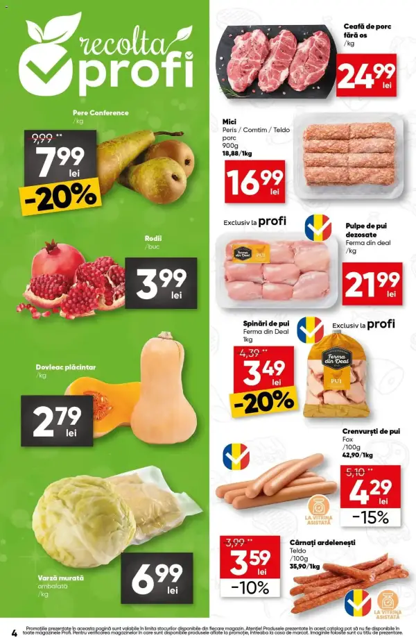 Pagina 4