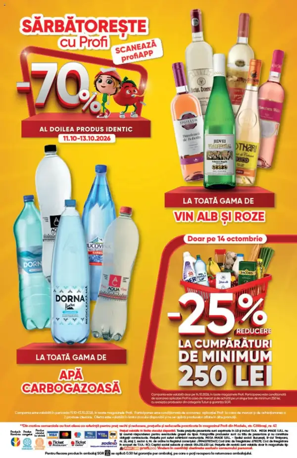 Pagina 13